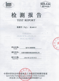 新国标塑胶跑道球场检验报告-AG8中心体育
